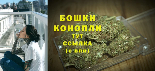 гидра Осташков