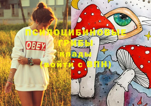 mdpv Няндома
