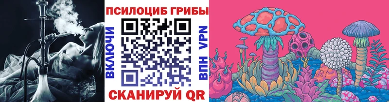 цена наркотик  Людиново  KRAKEN   Галлюциногенные грибы мицелий 