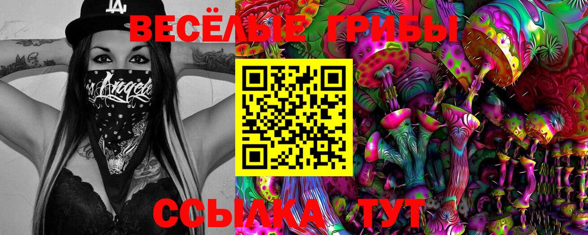 Галлюциногенные грибы Cubensis  Вход с VPN  купить наркотики сайты  Людиново  Галлюциногенные грибы прущие грибы 