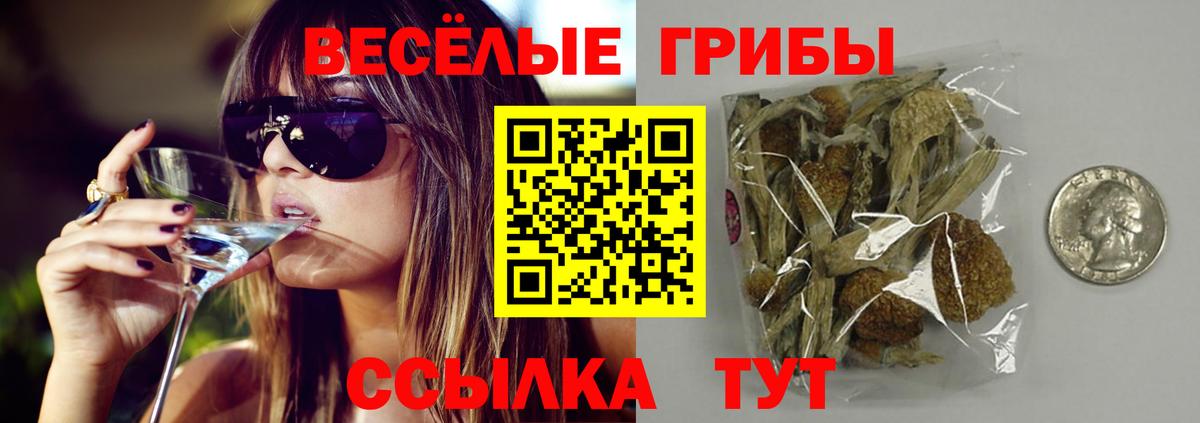 Псилоцибиновые грибы мухоморы Людиново