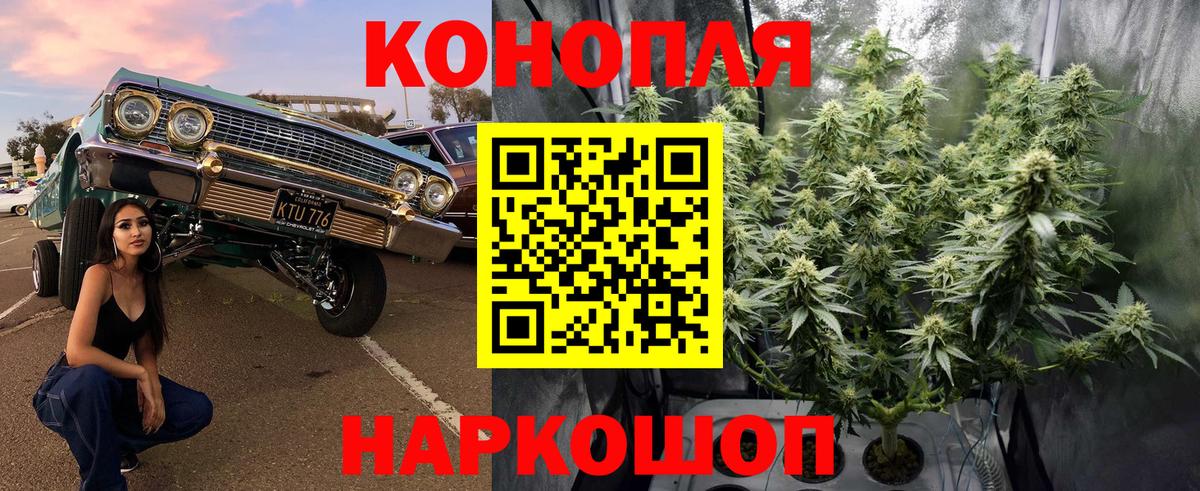 Каннабис Bruce Banner Людиново